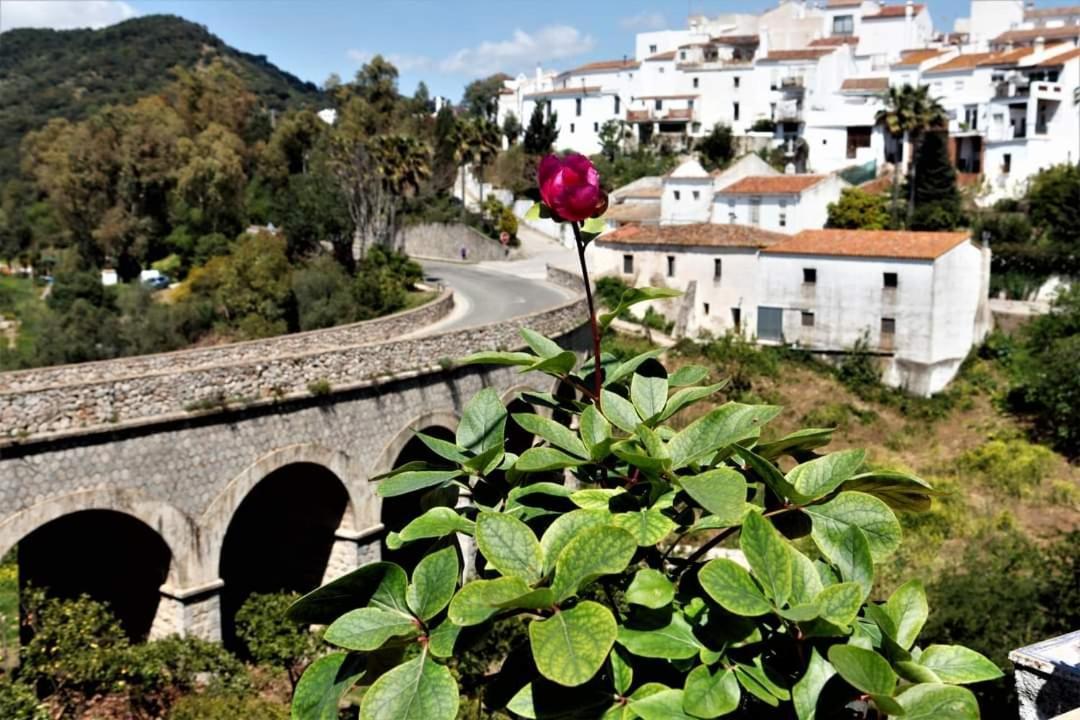 Casa Rural Sierras De Gaucín Extérieur photo